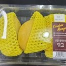 주식회사 의연 이미지