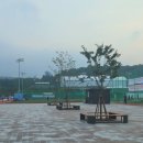 신안동6 이미지