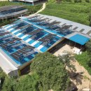 광선축사 이미지