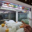 역전인형뽑기 이미지