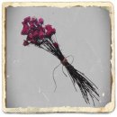 미라클  (miracle) 이미지