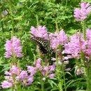 경성농장 이미지