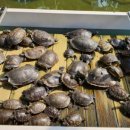 해운대구청 이미지