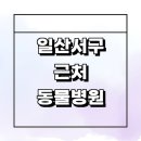 쿨펫동물병원 킨텍스점 | 고양 일산서구 근처 동물병원 잘하는곳 추천 정보 강아지 수술 중성화 치료 후기 토요일 공휴일 가격