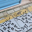 성일약국 | [일상/여행] 역시나 먹기만하는 3년만의 부산여행