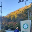 전북 장수 장안산(1,237m)을 무룡고개주차장에서 이미지