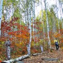 교대역  13번출구 뒤 2 이미지