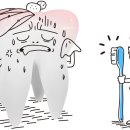 미드미치과 이미지
