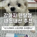 뿌띠펫 | [강아지 꿀템 추천] 강아지 치약 덴탈껌 추천, 시그니처바이 스토모액트 프리벤티스&amp;베오치약