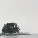 제주부동산중개법인 이미지
