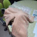 (복지)예사랑병원 | 군포 방문요양 _ 어르신과 함께 하는 예사랑재가복지센터 / 목욕 도움 / 휠체어 배송해드리기