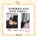 무지개케어 이미지
