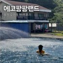 팡팡캠핑장 | 에코팡팡랜드 : 포항 계곡, 펜션 수영장, 오토캠핑장 추천 후기