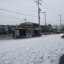 서구-02-105 | [대전] 건강한 다이어트를 도와주는 도마동 바이블 순환케어센터