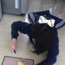 망고망고