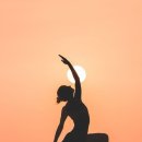 빈야사 & 전신 요가 이미지