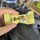 적십자라이프가드 자격증 2일차 후기 입수법 구조법 대화고양체육관수영장 인명구조요원 훈련과정 무릎...