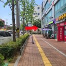 오늘DOG예쁨 | 대구 중구 대봉동 애견 미용 샵 오늘 DOG 예쁨 후기