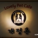 까페 개정촌 이미지