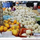 채원농장 이미지