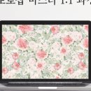 엠엔뷔알스튜디오