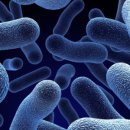 제이에스바이오컴퍼니(주) 이미지