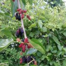 오케이세차장 이미지