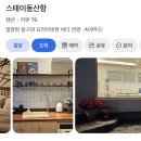 스테이동산항