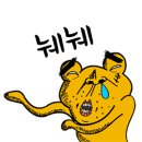 [단독] 호랑이띠 김선호 ‘슬픈 열대’ 외 스케줄 일절 거절, 올해는 영화만 판다 이미지