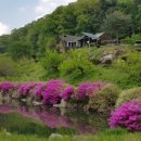 미륵산계곡꿈의궁전마을 이미지