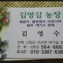 김영농장 이미지