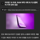 아이폰 18 프로, RAM 부족 사태 속 디스플레이 가격 인하 성공 이미지