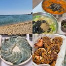 보부상길 (영랑수산) | 1박 2일 여행 | 속초중앙시장 코끼리분식, 서희수산 생새우, 유정이네튀김, 어반스테이 등대해변...