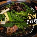 풍암능이버섯백숙 - 266539 | 👉 국물 미쳤다… 부모님 모시고 가기 좋은 광주 보양식 맛집, 풍암 능이버섯 오리백숙 솔직 후기