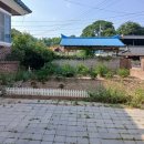 보개원삼로L 네이버블로그