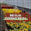 동군산농협자재판매장 | 🌼봄을 준비해요! &#39;한국화훼농협&#39; 모종 초화 봄꽃 행사🌼