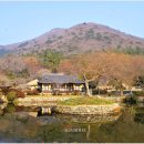 진도 운림산방 Daum카페