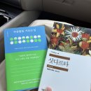 인어로우