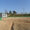 산속골농장 이미지