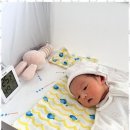 마미산후조리 네이버블로그