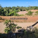 안덕어린이집 옆 이미지