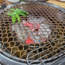 강가명가진주