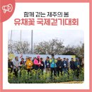 서귀포 유채꽃 국제걷기대회 개막식 및 법환해안도로-속골-돔베낭골-외돌개 10km 코스 완주