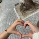 명품 짬뽕 이미지