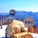 제488회 토요산행 경기도 유명산-용문산 산행( 2017. 3. 3.(토) 05:00 법원 출발) 이미지