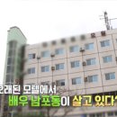 부일온천 이미지