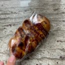 산본빵집::건강한 빵 판매하는 배달 군포베이커리 고재영빵집