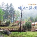 화천에코스쿨 생태체험장 이미지