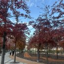 감고개공원작은도서관 이미지