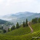 회천농장 이미지